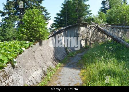 20 luglio 2020, Sassonia, Fichtelberg: L'ex pista luge del club sportivo della GDR Traktor Oberwiesenthal a Fichtelberg, nell'Erzgebirge, viene lentamente rilevata dalla natura. Alla fine degli anni '60, la pista da slitta da corsa lunga 1100 m, lunga 1100 m, che ama la natura, composta da elementi prefabbricati in calcestruzzo, fu costruita sul versante nord-orientale. Dopo la svolta politica ha perso la sua importanza, l'operazione è stata interrotta e la pista è stata parzialmente smantellata. Foto: Volkmar Heinz/dpa-Zentralbild/ZB Foto Stock