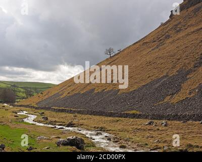 Ruscello che scorre lungo la parete volgare in pietra a secco e la collina rocciosa costeggiata da ghiaioni sotto Gordale Scar, vicino a Malham, North Yorkshire, Inghilterra, Regno Unito Foto Stock