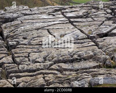 Modello creato dai famosi clint & grykes di pavimentazione calcarea sopra Malham Cove, Yorkshire Dales National Park North Yorkshire, Inghilterra, Regno Unito Foto Stock