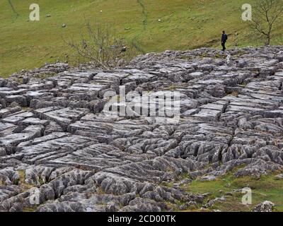 Modello creato dai famosi clint & grykes di pavimentazione calcarea sopra Malham Cove, Yorkshire Dales National Park North Yorkshire, Inghilterra, Regno Unito Foto Stock