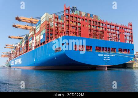 Vista posteriore della nave container Cosco Shipping Taurus in The Printses Amaliahaven, Maasvlakte 2 Foto Stock