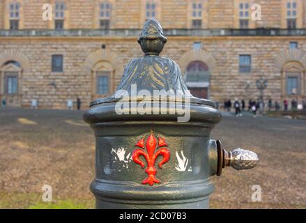 una vista ravvicinata di una fontana abbellita con il Giglio rosso simbolo di Firenze in piazza Pitti in Firenze Foto Stock