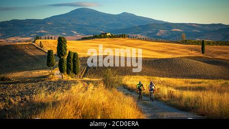 Due ciclisti vanno in bicicletta insieme in una serata estiva su una stretta strada di campagna a podere Terrapille in Val d'Orcia, Italia Foto Stock