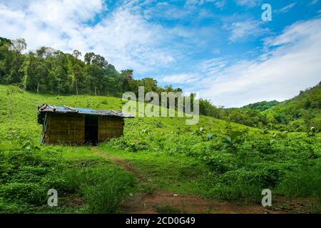 Bellezza naturale nel turismo del Kerala, terra propria del dio, attrazione turistica del Kerala di sfondo verde bello, cultura popolare del villaggio del Kerala Foto Stock