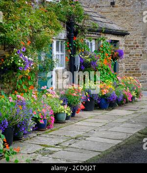 Profusione di fiori in vasi e cestini appesi fuori di un cottage di campagna nel villaggio Northumberland di Blanchland. Foto Stock