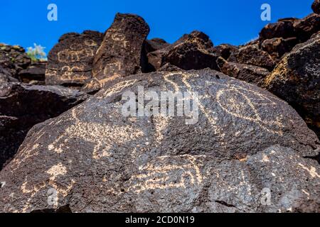 Petroglifi su roccia vulcanica nel Piedras Marcadas Canyon, Petroglyph National Monument in un sole, pomeriggio di primavera Foto Stock