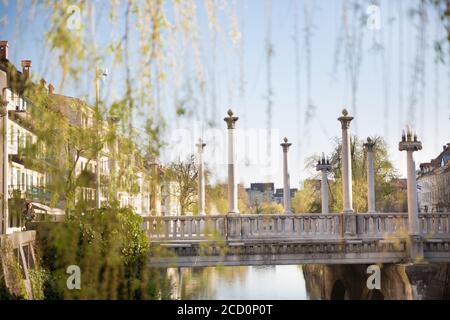 Unica arhitecture Plecnik del ponte di Cobblers visto attraverso i rami salici nel centro storico medievale della città di Lubiana, Slovenia Foto Stock