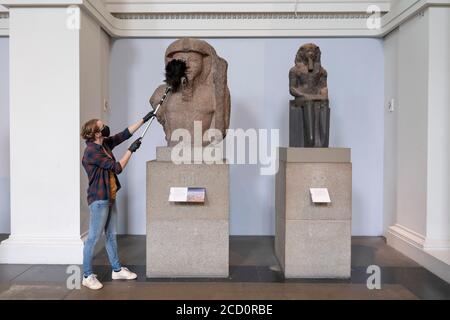 Londra, Inghilterra. 25 agosto 2020. Un membro dello staff spolvera un'antica statua egiziana alla vista stampa del British Museum. Il British Museum riaprirà le sue porte al pubblico in linea con le linee guida del governo e con le nuove misure di sicurezza in vigore. Dopo cinque mesi di chiusura a causa della pandemia del coronavirus, il British Museum riaprirà le sue porte al pubblico il 27 agosto 2020. Un nuovo percorso di sola andata intorno alle gallerie al piano terra permetterà ai visitatori di accedere a oltre 9000 oggetti. Altre gallerie riapriranno più tardi a settembre. (Foto di Sam Mellish / Alamy Live News) Foto Stock