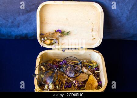 Set a tema autunno, fiori e piante essiccati, occhiali da sole nella scatola Foto Stock