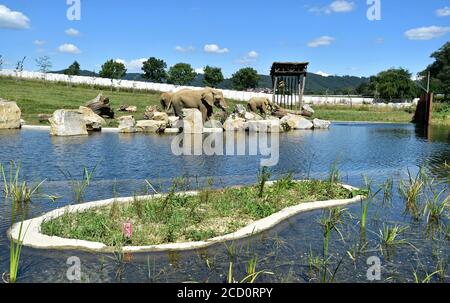 Zlin, Repubblica Ceca. 25 Agosto 2020. ZOO Zlin presenta un nuovo recinto per gli elefanti bush africani (Loxodonta africana) in esposizione Karibuni, a Zlin, Repubblica Ceca, 25 agosto 2020. Credit: Gluck/CTK Photo/Alamy Live News Foto Stock