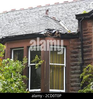 25 agosto 2020. Glasgow, Scozia, Regno Unito. I residenti in Balshagray Ave. Hanno avuto una fortunata fuga quando Storm Francis ha portato giù un grande albero che ha colpito le gronde prima di atterrare attraverso la parte anteriore delle case. Credito. Douglas Carr/Alamy Live News. Foto Stock