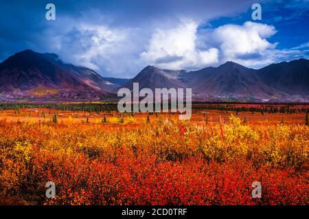 Alaska Range e vivace tundra autunnale colorata sotto nuvole tempestose, Alaska interna in autunno; Cantwell, Alaska, Stati Uniti d'America Foto Stock