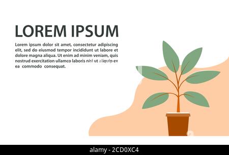 Banner con testo e una bella pianta in vaso. Illustrazione Vettoriale