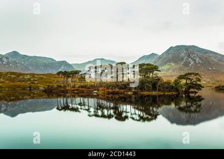 Isola dei pini sul lago di Derryclare con le montagne del Connemara lo sfondo e con riflessi perfetti in acqua Foto Stock