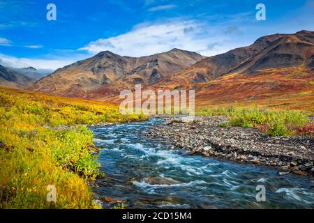 Kuyuktuvuk Creek e Brooks Mountains in colori autunnali sotto il cielo blu. Cancelli del parco nazionale artico e riserva, Alaska artica in autunno Foto Stock