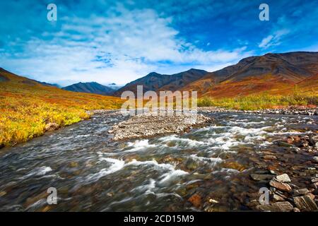 Kuyuktuvuk Creek e Brooks Mountains in colori autunnali sotto il cielo blu. Cancelli del parco nazionale artico e riserva, Alaska artica in autunno Foto Stock