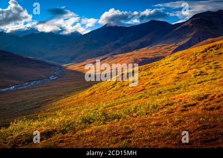 Brooks Mountains e Kuyuktuvuk Creek Valley in colori autunnali sotto il cielo blu. Cancelli del parco nazionale artico e riserva, Alaska artica in autunno Foto Stock