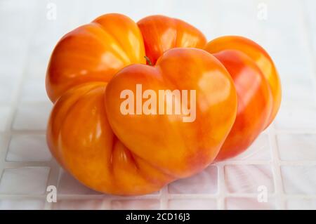 Primo piano di pomodori di colore arancio, dalla forma strana, dal colore arrossato al colore rosa su un bancone bianco; British Columbia, Canada Foto Stock