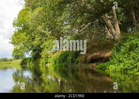 Fiume Niers, regione del basso Reno, Germania Foto Stock