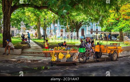 L'Avana, Cuba, luglio 2019, venditore di frutta presso una piazza nella parte più antica della città Foto Stock