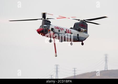 Boeing CH-47D Chinook N405AJ che opera dal campo di Meadowlark a Livermore, California, in risposta agli incendi del complesso Lightning della SCU del 2020. Foto Stock