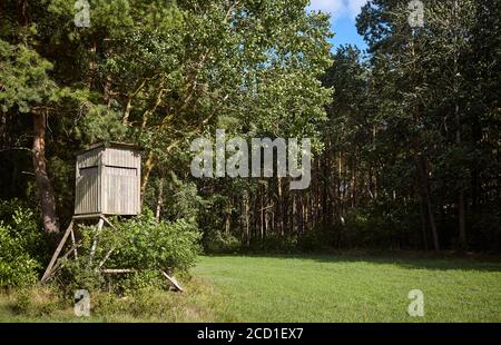 Cervi di legno stand (caccia ciechi) sul bordo della foresta. Foto Stock