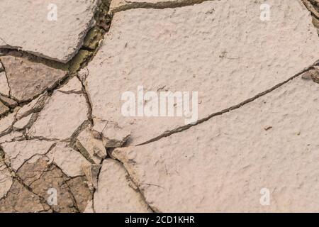 Campo secco crosta di suolo cracked ed asciugando fuori, e mostrando raindrop impatto di fango secco superficie. Per la scienza del suolo, la siccità nel Regno Unito, la carenza di acqua. Foto Stock