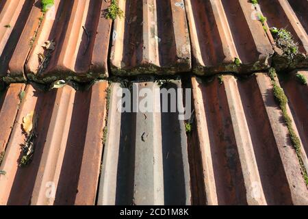 Closeup di piastrelle rosse del tetto coperto di verde muschio Foto Stock
