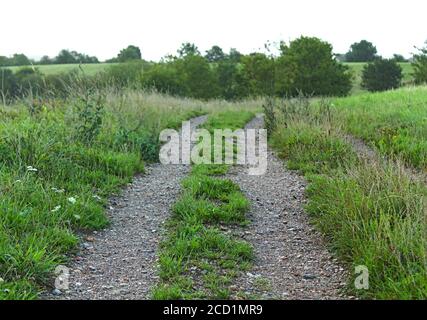 tracce che attraversano un campo Foto Stock