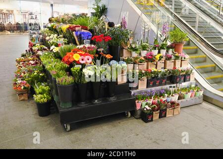 Londra, Regno Unito - 01 febbraio 2019: Fiori esposti presso un piccolo fiorista all'interno della stazione metropolitana London Bridge. Flowershops sono abbastanza comuni Foto Stock