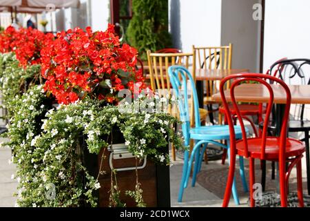 Street cafe in una città, tavoli e sedie in metallo d'epoca in un ristorante all'aperto. Pentole con fiori, ambiente elegante per la festa e la data Foto Stock