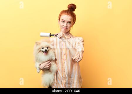 zenzero ragazza attraente usando rullo di pelucchi, isolato su sfondo giallo, studio shot. infelice ragazza andando rimuovere i capelli del cane da tessuti, vestiti, Foto Stock