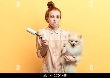 il proprietario dell'animale domestico perplesso non sa come eliminare la perdita dei capelli. primo piano ritratto. sfondo giallo isolato, scatto studio. Foto Stock