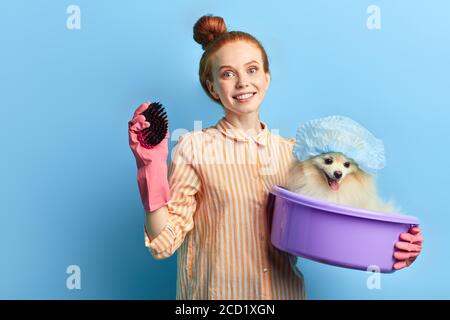 attraente proprietario del cane andando a massaggiare il suo animale domestico con una spazzola, primo piano ritratto. isolato sfondo blu, studio shot. stile di vita, tempo libero, spare ti Foto Stock