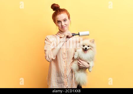 dispiaciuto infelice triste zenzero ragazza pulizia un cane con un rullo, isolato su sfondo giallo, studio shot Foto Stock