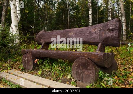 Panca in legno fatta di tronchi nel Parco Autunno Foto Stock