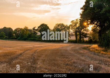 Immagine frizzante del tramonto con travi solari su campo di grano raccolto Foto Stock