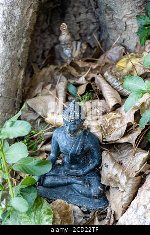 La figura del Buddha tra foglie e radici di albero, Thailandia. Foto Stock