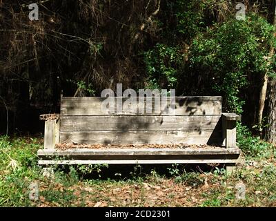 The Woodlands TX USA - 01-20-2020 - Old Wooden Bench In Woods Foto Stock