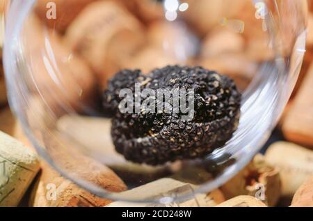 Tartufo nero in un vuoto di vetro sui tappi vino Foto Stock