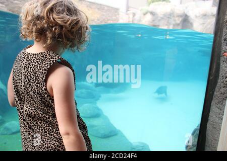 Giovane ragazza all'acquario Foto Stock