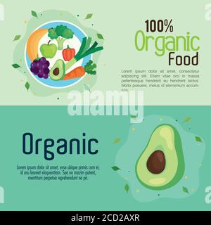 banner con cibo 100% biologico, concetto di cibo sano Illustrazione Vettoriale