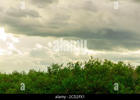 Cumulonimbus pioggia-formazione nuvola nei tropici. In una nuvola con sviluppo tipico, la pioggia inizia improvvisamente dopo la sua transizione dai conge cumuli Foto Stock