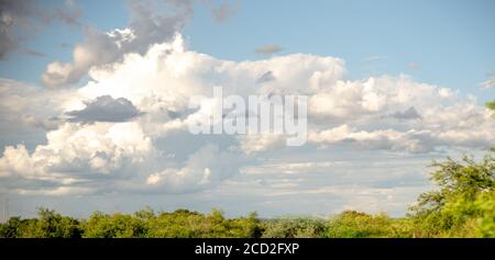 Cumulonimbus pioggia-formazione nuvola nei tropici. In una nuvola con sviluppo tipico, la pioggia inizia improvvisamente dopo la sua transizione dai conge cumuli Foto Stock