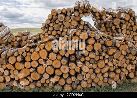 i tronchi di legno si trovano in un mucchio enorme Foto Stock