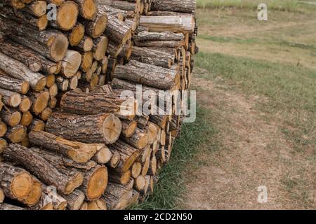 i tronchi di legno si trovano in un mucchio enorme Foto Stock