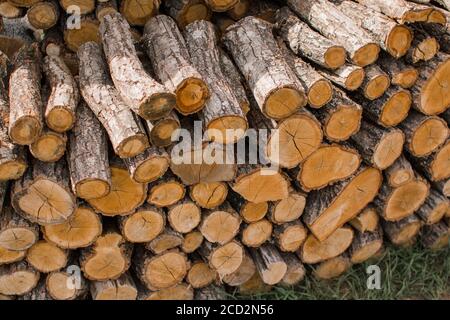 i tronchi di legno si trovano in un mucchio enorme Foto Stock