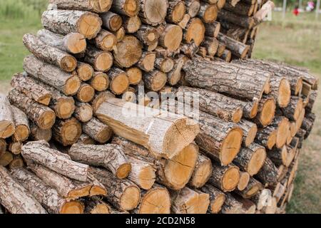 i tronchi di legno si trovano in un mucchio enorme Foto Stock