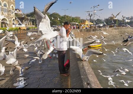 Un uomo indù in piedi sul mare presso il Gateway of India e il Taj Mahal Hotel a Mumbai, India, circondato da gabbiani, prega verso il sole nascente Foto Stock