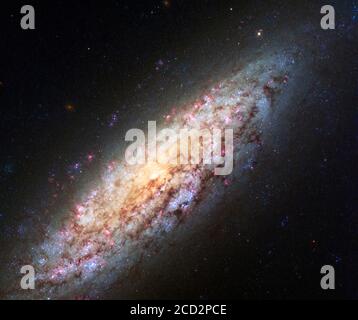 SPAZIO ESTERNO NGC 6506 - 10 Giugno 2015 - questa immagine del telescopio spaziale Hubble della NASA/ESA mostra la galassia NGC 6503. La galassia, che si trova a 30 000 anni luce di distanza Foto Stock